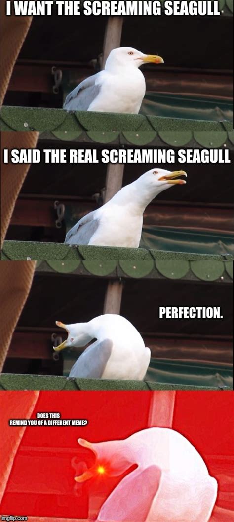 People often use the generator to customize established memes , such as those found in Imgflip&39;s collection of Meme Templates. . Seagull scream meme
